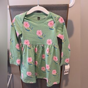 Tea Collection Mint Dress with Pink Floral Design. NWT SZ 2T